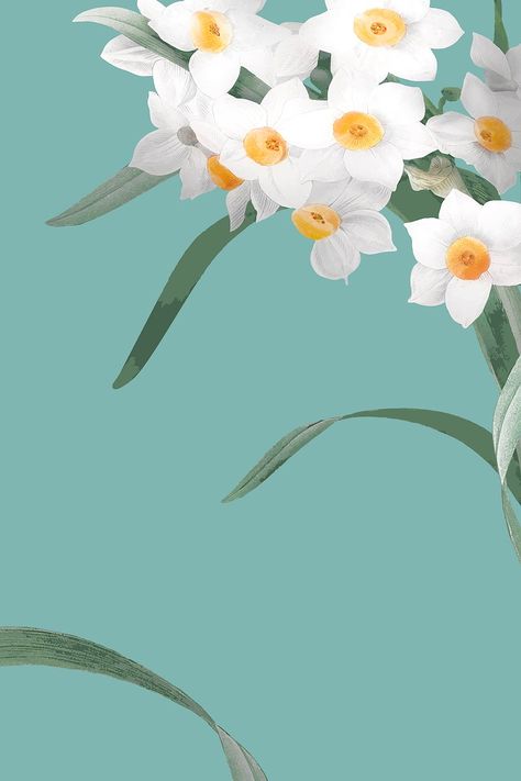 Daffodil border vector on green background | free image by rawpixel.com / Kappy Daffodil Background, Daffodil Border, Border Vector, Background Powerpoint, About Easter, Watch Wallpaper, Apple Watch Wallpaper, Backgrounds Free, Work Quotes