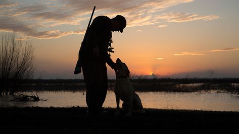 Hunting Dog Photography, Hunting Photos, Hunting Photography, Duck Dog, Hunting Pictures, Fishing Photography, Dog Poses, Dog Grooming Business, Black Lab Puppies