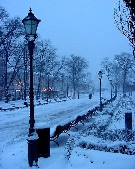 Nordic Countries, Helsinki Finland, Winter Magic, Winter Scenery, Snowy Day, Winter Pictures, Winter Wonder, Street Light, Winter Landscape