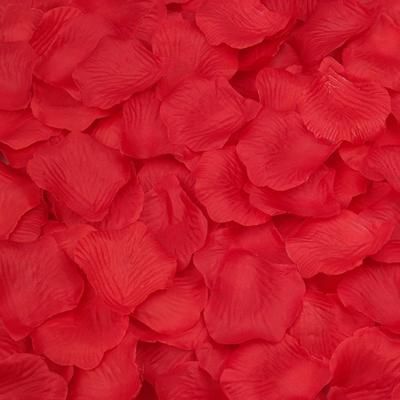 Wholesale Flower - Buy Flowers Decor Party Decorations Silk Flowers Artificiarose Petals Red For Wedding, $0.01 | DHgate Flower Petals Wedding, Fairytale Theme, Theme Garden, Rose Petals Wedding, Silk Rose Petals, Red Rose Petals, Wedding Petals, Gift Packing, Butterfly Theme