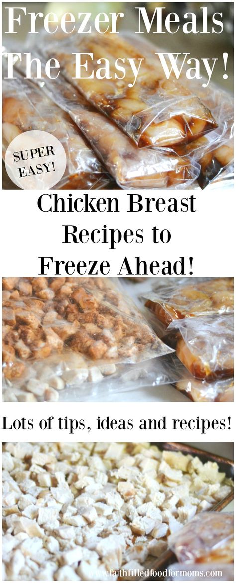 Recipes To Freeze, Inexpensive Dinners, Budget Freezer Meals, Budget Cooking, Healthy Freezer Meals, Filling Food, Cooking For A Crowd, Chicken Meal Prep, Cheap Dinners