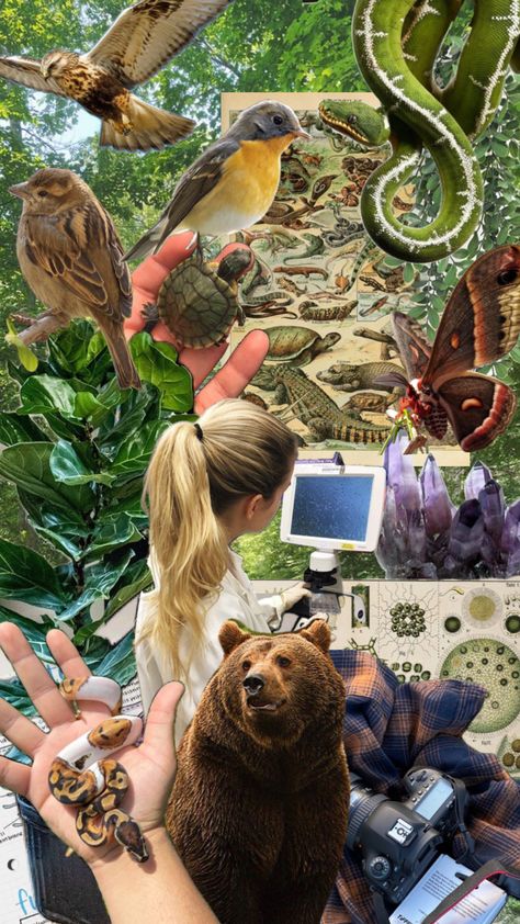 Vet School Motivation, Vintage Biology, Environmental Scientist, Wildlife Biologist, Conservation Biology, Nature Collage, Eco Life, Vet School, Vet Student