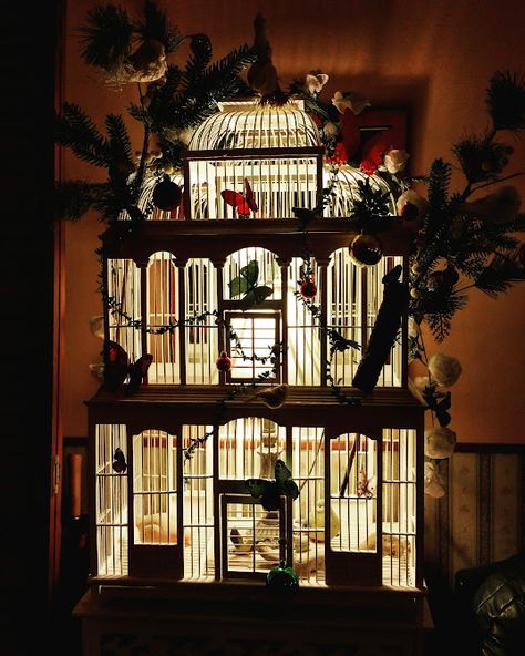 Birdcage Light, Birdcage Lamp, Bird Cage Decor, Decorating Home, Birdcages, December 31, Living Room Grey, House Goals, Find Beauty