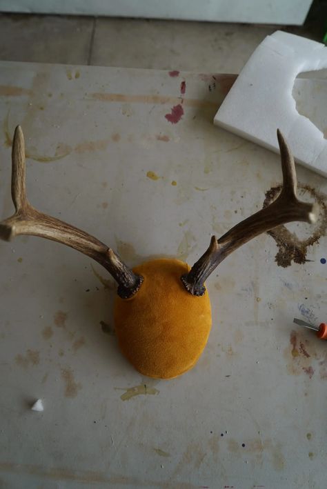 9 Easy Steps for DIY Antler Mount Diy Antler, Diy Antlers, Mounted Antlers, Antler Mount, A Skull, Survival Tips, Tips Tricks, Skull Cap, Easy Steps