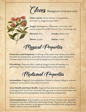 Wicca Herbs, Witchcraft Herbs, Magickal Herbs, Witch Herbs, Green Witchcraft, Clove Essential Oil, Wiccan Magic, Folk Magic, Magic Herbs