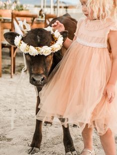 flower girl and cow baby calf fall farmhouse wedding by kara's party ideas Fall Farmhouse Wedding, Balloons Background, Background Graduation, Urban Wedding Venue, Fall Farmhouse, Wedding Venue Inspiration, Farmhouse Wedding, Space Wedding, Future Wedding Plans