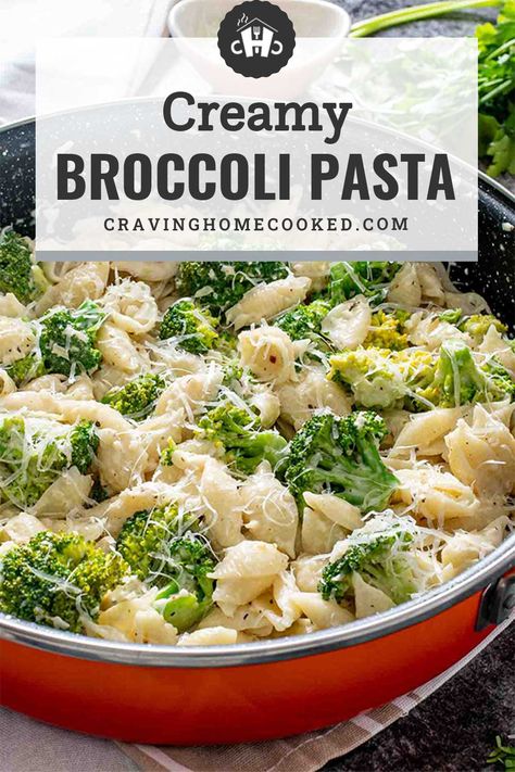 Perfectly sautéed broccoli and mini shells are tossed together in a rich parmesan cheese sauce to make this yummy Creamy Broccoli Pasta! #creamy #broccoli #pasta #recipe Pasta Craving, Chicken Broccoli Alfredo Pasta, Creamy Broccoli Pasta, Broccoli Alfredo Pasta, Broccoli Cheese Casserole Recipe, Shells And Cheese, Pasta Con Broccoli, Shell Pasta Recipes, Broccoli Pasta Recipe