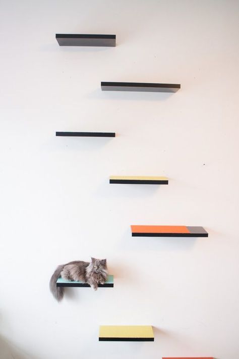 How to build cat shelves your cat will love! #WaysToWOW Diy Cat Shelves, Floating Cat Shelves, Pallet Deck Diy, Katt Grejer, Cat Wall Shelves, Diy Cat Tree, Floating Shelves Kitchen, Cats Diy Projects, Diy Wall Shelves