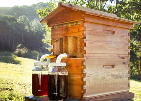 An Australian man and his father spent years quietly developing a bee hive that would allow honey to be extracted without disturbing Flow Hive, Grow Garden, Future Gadgets, Dragon Flies, Bee Farm, Future Farms, Bee Keeper, Mini Farm, Hobby Farms