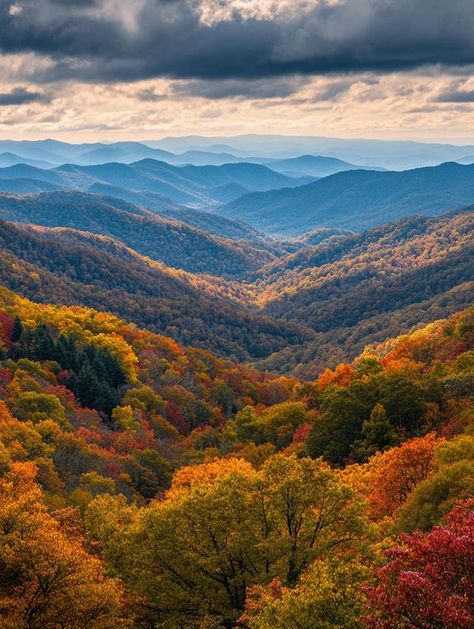 Blue Ridge Mountains North Carolina, Mountains North Carolina, Skyline Drive, Shenandoah Valley, Painting Subjects, Places In The World, Autumn Scenery, Blue Ridge Parkway, Travel Places