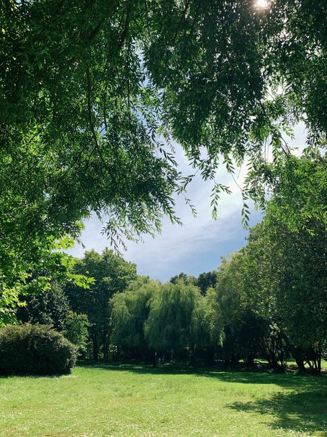 Grassland Aesthetic, Cottage Core Aesthetic, Story Of The World, Willow Tree, Green Trees, Beautiful Nature Scenes, Nature Aesthetic, Pretty Places, Nature Scenes