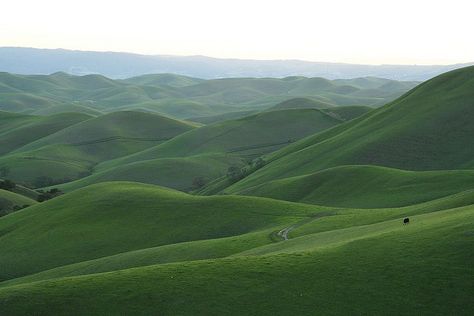 rolling hills of ireland Hills Landscape, Hills Aesthetic, Hills Astethic, Green Hills, Hills Aesthetic Wallpaper, Green Hills Aesthetic, Hill Aesthetic Green, Hills Background, Rolling Hills Landscape