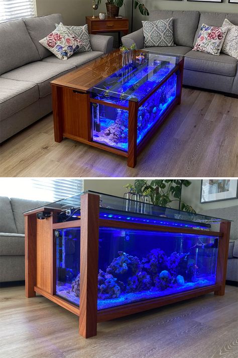 Fish Tank Coffee Table, Aquarium Coffee Table, Fish Tank Design, Home Aquarium, Tiny Studio, Studio Apartment Ideas, Aquarium Design, Studio Apartment Decorating, Dressing Room Design