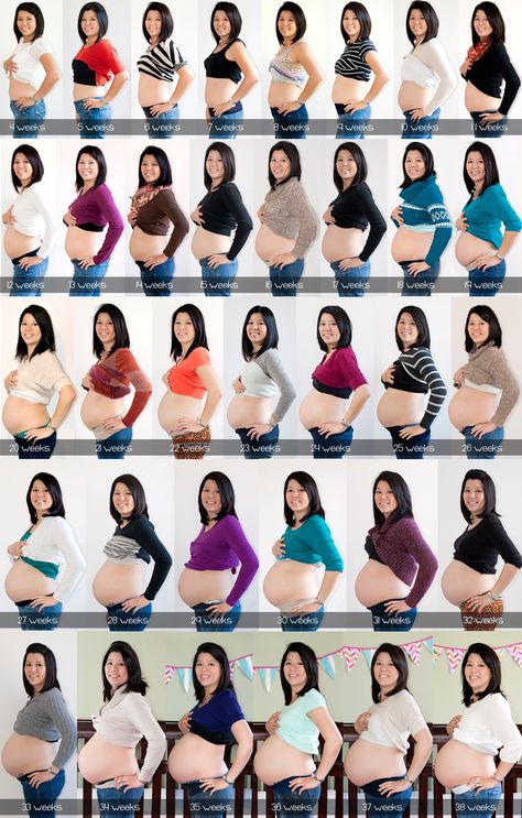 Week by WeekBelly Progression Bump Progression, Baby Bump Progression, Pregnancy Timeline, Pregnancy Tracker, Pregnancy Progression, Healthy Pregnancy Tips, Pregnancy Bump, Pregnancy Week, Baby Stage