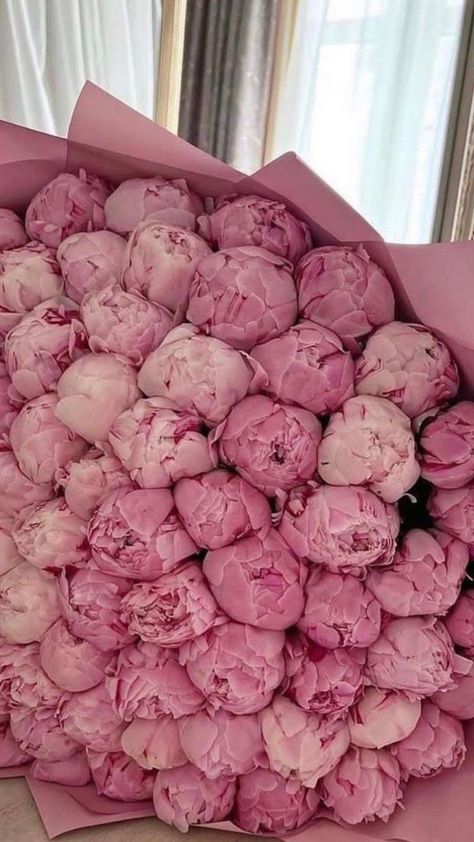 Flores Wallpaper, Flowers Peonies, Peonies And Hydrangeas, Boquette Flowers, Flowers Bouquet Gift, Nothing But Flowers, Flower Therapy, No Rain, Peonies Bouquet