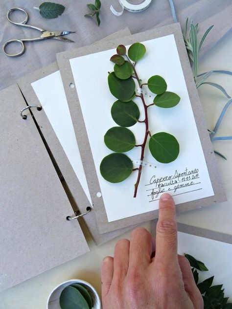 Herbarium Journal, Mind Map Art, Nature Projects, Pressed Flower Crafts, Plant Journal, Nature Art Prints, Art Journal Therapy, Garden Journal, Leather Books