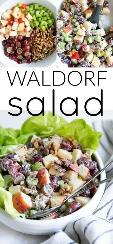 Waldorf Salad, originally served at the Waldorf Astoria Hotel in 1893, is a fantastic fusion of diced apples, walnuts, celery, and grapes in a simple mayonnaise dressing. Enjoy this delicious Waldorf Salad Recipe on a bed of crisp lettuce for a light and easy lunch or dinner. Easy Waldorf Salad, Classic Waldorf Salad, Waldorf Salad Recipe, Waldorf Salad, Vegetarian Salads, Noodle Salad, Pasta Salad Recipes, Easy Lunches, Healthy Nutrition