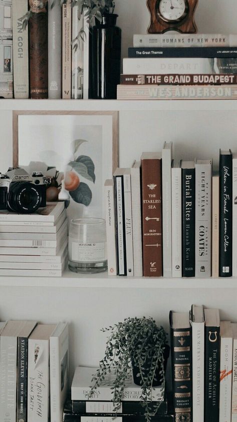 Books And Plants, Aesthetic Bookshelf, Fotocamere Vintage, Bookshelf Aesthetic, Bookshelf Inspiration, Bookshelf Styling, Home Libraries, Coffee And Books, Room Inspiration Bedroom