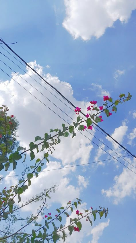 Cloud Photos, Sky Photography Nature, Fotografi Vintage, Nature Instagram, Amazing Nature Photography, Sky Pictures, Shadow Pictures, Sky Photos, Pretty Sky