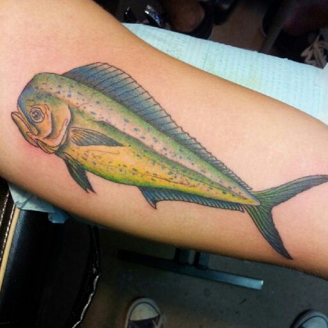 Dolphin fish tattoo by Brittanie Turpin Mahi Mahi Tattoo, Mahi Tattoo, Marlin Tattoo, Morning Glory Tattoo, Florida Tattoo, Glory Tattoo, Mahi Fish, Florida Tattoos, Dolphin Fish