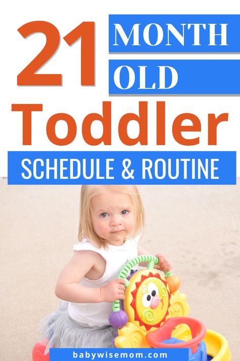 21 month old toddler schedule and routine. Toddler schedule for 20.5-21 months old – get a toddler routine and learn about daily life. Learn about toddler teething and how it affects sleep, playtime, and tantrums. 22 Month Old Schedule, 21 Month Old Schedule, 20 Month Old Schedule, 20 Month Old Activities, Toddler Teething, Potty Training Help, Teething Toddler, Toddler Routine, Toddler Potty Training