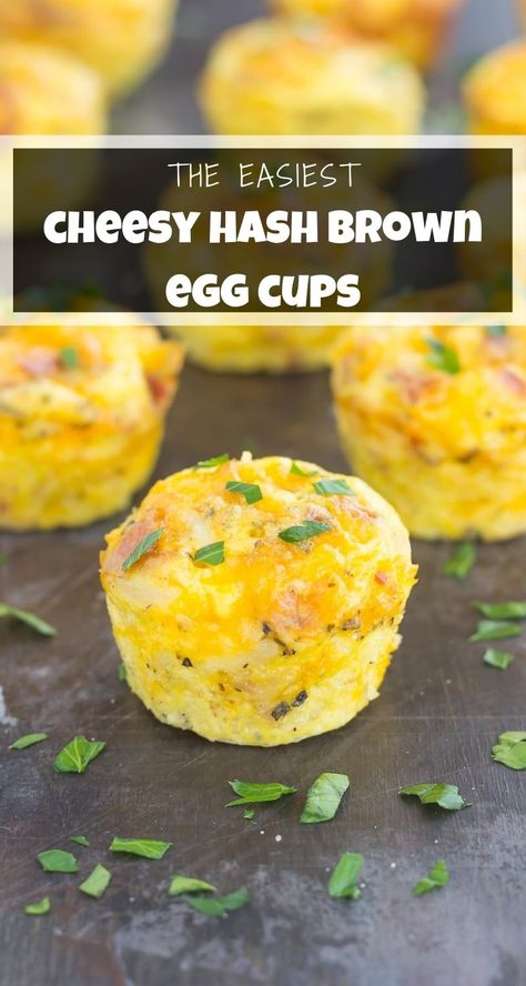 Hashbrown Muffin Cups Eggs, Breakfast Bites With Hashbrowns, Egg And Potato Bites, Hashbrown Egg Cups Muffin Tins, Egg Bites With Hashbrowns Recipe, Egg Bites With Potatoes, Hashbrown Cups With Eggs, Hashbrown Egg Cups, Hash Brown Egg Cups