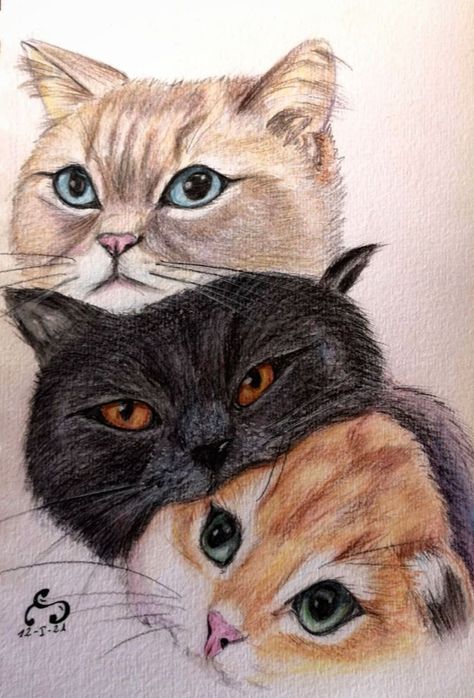 Colorful Drawing Ideas, Cute Panda Drawing, Buddha Art Drawing, Drawing Ideas Color, Pencil Drawings Of Animals, Animal Drawings Sketches, Cat Sketch, Disney Art Drawings, Cute Kawaii Animals