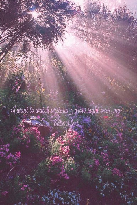 The Lakes Taylor Swift Aesthetic, Aesthetic Wallpaper Bible, Taylor Swift Inspired Wallpaper, Lakes Taylor Swift, The Lakes Taylor Swift, Wallpaper Bible Quotes, Taylor Swift Aesthetic Wallpaper, Flower Lyrics, Lotus Flower Wallpaper