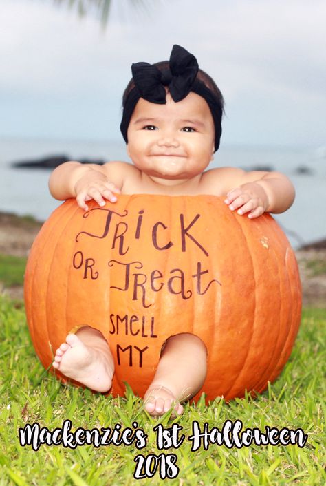 Babies In Pumpkins, Holiday Baby Pictures, Halloween Baby Pictures, Fall Baby Photos, Baby Holiday Photos, Fall Baby Pictures, Baby Milestones Pictures, Fall Pics, Monthly Baby Pictures