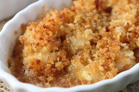 bay scallops with panko breading baked Recipes With Bay Scallops, Bay Scallop Recipes Baked, Scallop Casserole, Bay Scallops Recipe, Scallop Recipes Baked, Sea Scallops Recipe, Bay Scallop Recipes, Scallops Recipes, Seafood Scallops