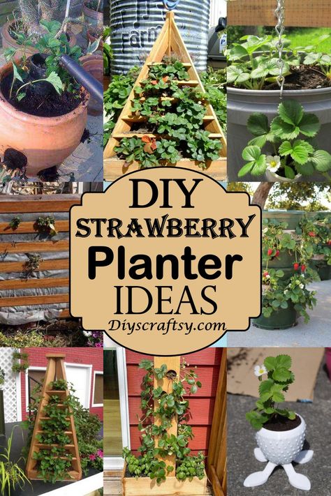 31 DIY Strawberry Planter Ideas For Container Planting - DIYS Craftsy Hanging Strawberry Planter Ideas Diy, Strawberry Pyramid Planter Diy, Garden Projects Diy Cool Ideas Pots & Planters, Hanging Strawberries Planter Ideas, Strawberries Planter Ideas, Pallet Strawberry Planter Diy, Strawberry Diy Planter, Strawberry Pots Ideas, Tiered Strawberry Planter Diy