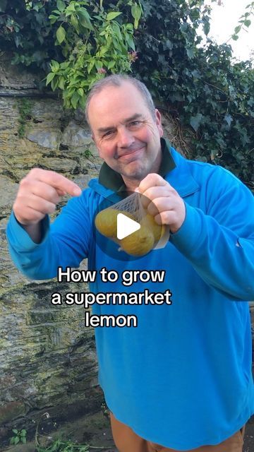 Simon Akeroyd on Instagram: "Grow a lemon for your gin and tonic. Lemon trees are easy to grow from seed although it can take a few years to produce any fruit. Sow a few seeds as not all plants will produce fruit as seedlings can vary. #houseplant #ginandtonic #christmas #festiveseason #gardening #gardeninghack #fyp #foryoupage #foryoupage" Lemon Seeds Grow How To, How To Grow A Lemon Tree From Seed, How To Grow Lemons From Seeds, Lemon Plant From Seeds, Grow Lemon Tree From Seed, Planting Lemon Seeds, Worm Farm Diy, Lemon Tree From Seed, Grow Lemon