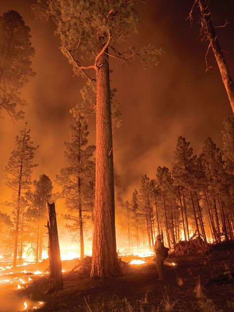 For over a century, Montana has figured at the center of American wildfire policy. Climate change is again making it ground zero. 숲 사진, Wow Photo, Wildland Fire, Wildland Firefighter, California Wildfires, Wild Fire, Land Of Enchantment, Forest Fire, Fire And Ice