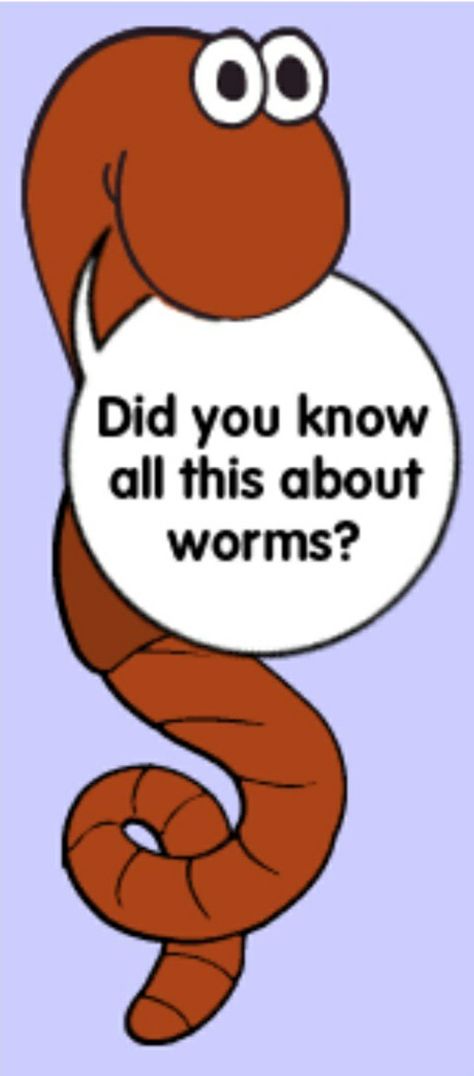 Earthworm Farming, Herman The Worm, Earthworm Farm, Worm Facts, Night Crawlers, Worm Farming, U Of I, Worm Bin, Worm Composting