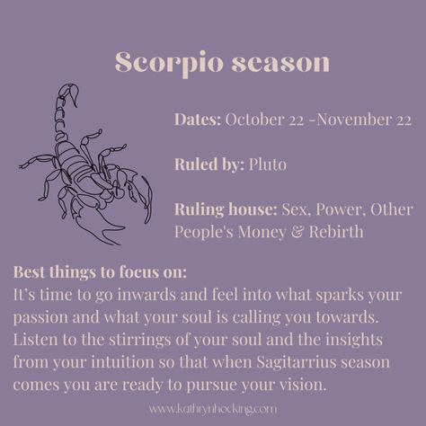 Scorpio Season - Time to go deep & find your passion Scorpio Season Dates, Scorpio Season Aesthetic, Scorpio Season Quotes, November Magick, Zodiac Mind Scorpio, Scorpio Szn, Truth Questions, Manifestation Prayer, Scorpio Astrology