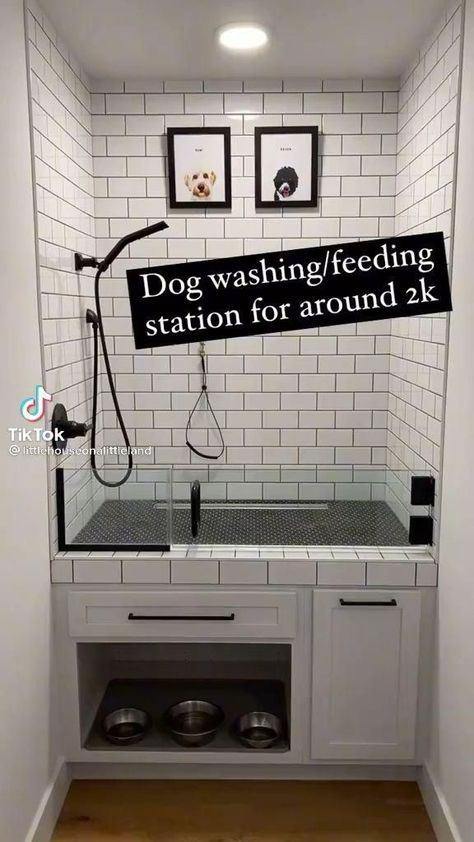 Raised Dog Washing Station In Laundry Room, Elevated Dog Washing Station, Dog Showers, Dog Baths, Dog Wash Station, Dog Station, Dog Space, Wash Station, Washing Station