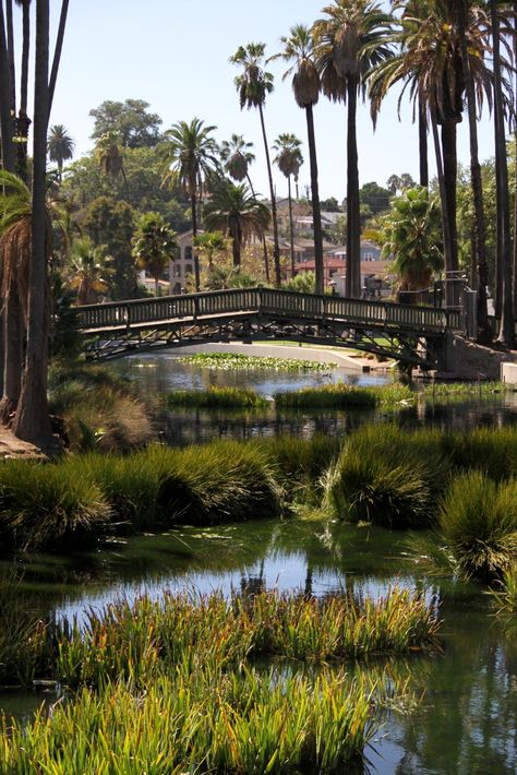 Echo Park Lake Bridge, Los Angeles, CA. I dreamt of this place once before I even know it existed.. Los Angeles Nature, Hancock Park Los Angeles, Lake With Bridge, Los Angeles Scenery, Echo Park Lake Los Angeles, Lake Bridge, Los Angeles Echo Park, Los Angeles Landscape, Echo Park Los Angeles