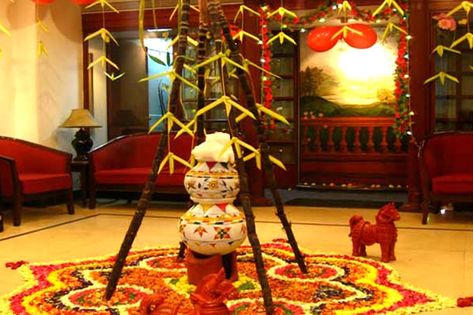 Makar sankranti decoration include pongal pot decoration in a large balcony or garden to celebrate sankranti or pongal Indian Thanksgiving, Thai Pongal, Pongal Festival, Pongal Celebration, Onam Festival, Happy Pongal, Happy Makar Sankranti, Festivals Of India, Makar Sankranti