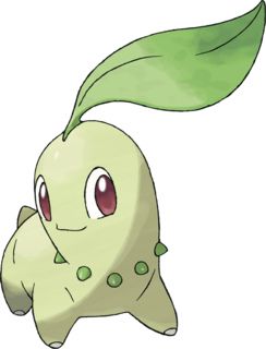 Chikorita Pokédex: stats, moves, evolution & locations | Pokémon Database Sun Pokemon, Rayquaza Pokemon, Pet Anime, Pokemon Heart Gold, Grass Type Pokemon, Pokemon Original, Solgaleo Pokemon, Pokemon Tv, Pokemon Starters