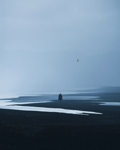 Dan Winters, Seven Seals, Moody Beach, Natural Place, Radio Waves, Random Photography, Beach At Night, Album Aesthetic, Black Beach