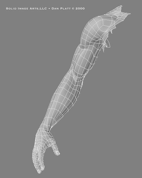 3d Topology Arm Face Topology, 3d Topology, Maya Modeling, 3d Anatomy, Website Planning, 3d Karakter, Polygon Modeling, Zbrush Tutorial, Anatomy Sculpture