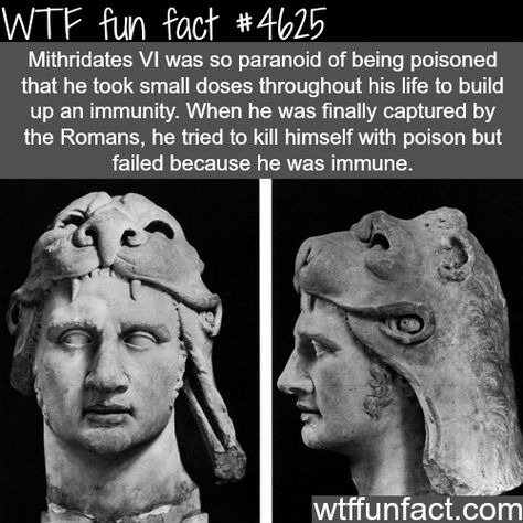 WTF Facts : funny, interesting & weird facts Creepy Facts, History Nerd, Wow Facts, Science Facts, Historical Facts, Interesting History, The More You Know, History Facts, Memes Funny