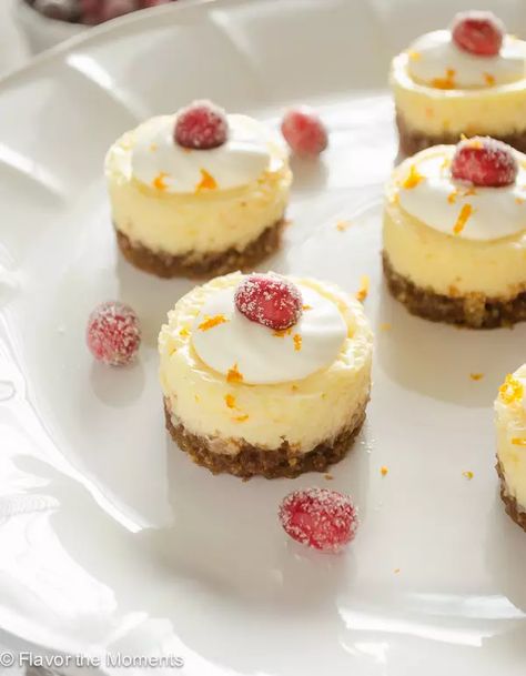 Mini Cranberry Orange Cheesecakes with Gingersnap Crust are an explosion of flavor!  They're topped with sugared cranberries for a festive holiday dessert! #cheesecake #cheesecakerecipes #dessertrecipes #glutenfreedessert Mini Orange Cheesecake, Cranberry Orange Desserts, Cranberry Orange Cheesecake, Orange Cheesecake Recipes, Cute Thanksgiving Desserts, Holiday Cheesecake, Orange Cheesecake, Dessert Cheesecake, Cranberry Dessert