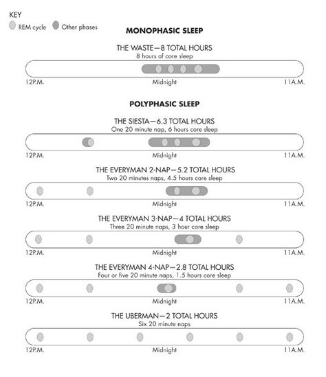 Polyphasic Sleep Schedules Polyphasic Sleep, Life Of An Entrepreneur, Tim Ferris, Life Change, Sleep Schedule, Cheat Sheet, Cheat Sheets, Living Life, Health Coach