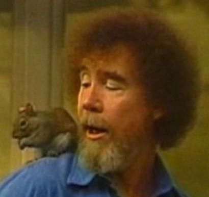 Bob Ross and his pet squirrel, Peanut. Magical. - Imgur Bob Ross Aesthetic, Pet Squirrel, Happy Accidents, Bob Ross Paintings, The Joy Of Painting, Funny Tattoos, Bob Ross, Happy Paintings, Classic Series