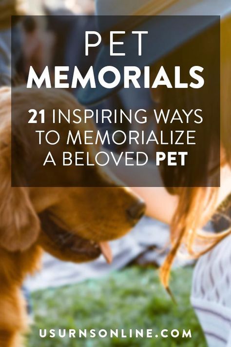 Pet Memorials: 21 Inspiring Ways to Memorialize a Pet Dog Memorial Quotes, Dog Memorial Ideas, Pet Memorial Ideas Dogs, Pet Caskets, Pet Memorial Ideas, Memorial Quotes, Pet Memorial Garden, Pet Memory, Memory Ideas