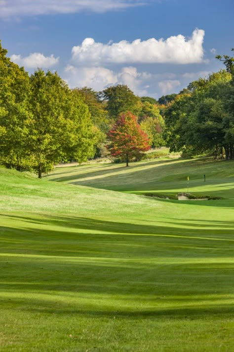 British Gardens, Capability Brown Gardens, Capability Brown, Ashridge House, Hornbeam Hedge, Golden Valley, Front Garden Landscape, Meditation Garden, English Country Gardens