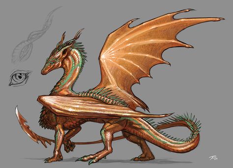 Copper Dragoness by KaiserFlames Aesthetic Character, Mythological Animals, Copper Dragon, Cool Dragons, Character Animation, Mythical Animal, Dragon Pictures, Dragon Wings, Wings Of Fire