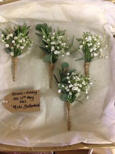 Love the mix of rosemary and babys breath. Would have the bottom warped in navy or clean white. Babies Breath, 2022 Wedding, Boutonniere Wedding, Baby's Breath, Greenery Wedding, Decorations Ideas, Flower Bouquet Wedding, Simple Weddings, Boutonniere