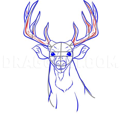 How To Draw A Deer Face, Deer Drawing Easy, Deer Sketch, Skeleton Drawing, Lucky Art, 3d Monster, Deer Drawing, Pencil Drawings Of Animals, Deer Silhouette